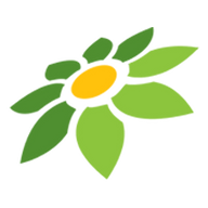 NET99